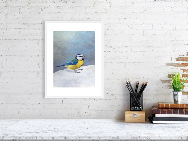 Print of a blue tit in a white frame