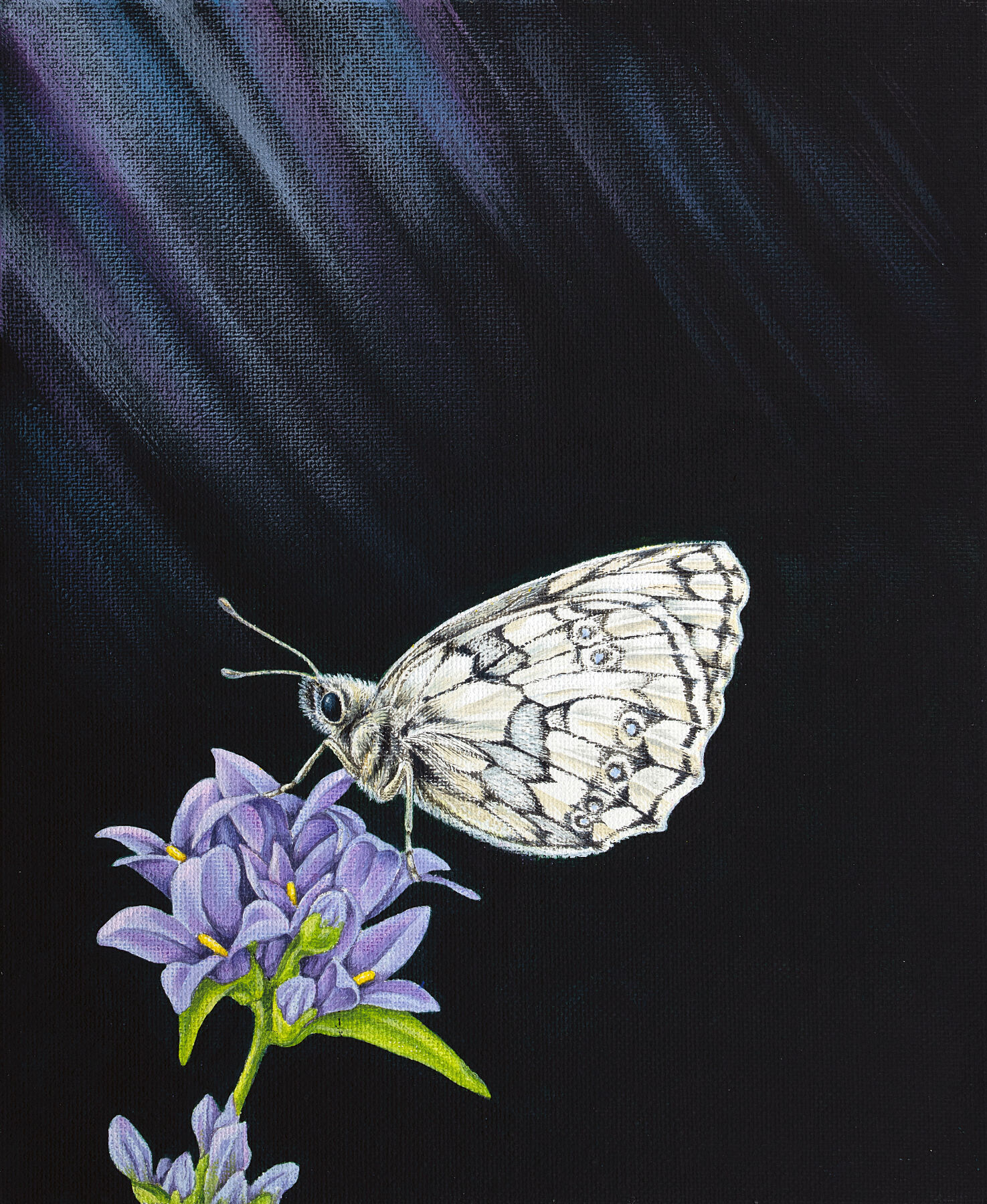 Original painting of a marbled white butterfly