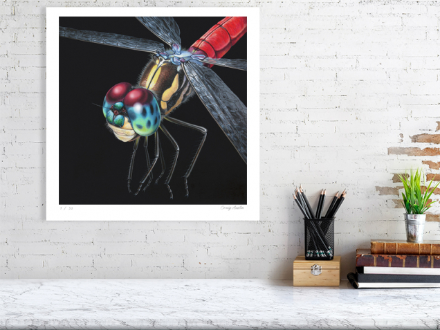 Signed edition print of a dragonfly