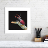 Stag beetle print in a white frame