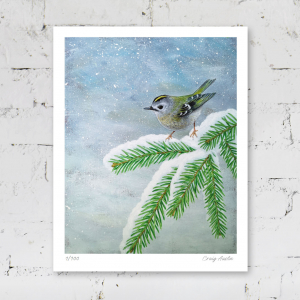 Winter Goldcrest Print