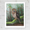 Signed print of a morepork owl