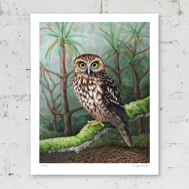 Signed print of a morepork owl