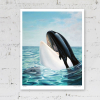 Limited edition print of an orca whale