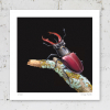 Signed print of a stag beetle