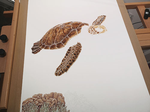 Sketch of a turtle on a lightbox