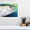 Signed print of a dogtooth tuna