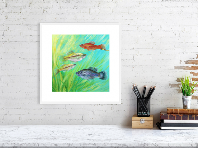 Swordtail fish print in a white frame