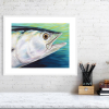 Dogtooth tuna in a white frame