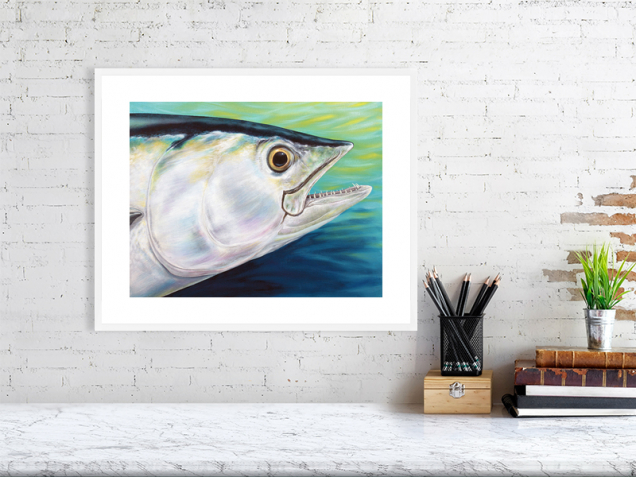Dogtooth tuna in a white frame