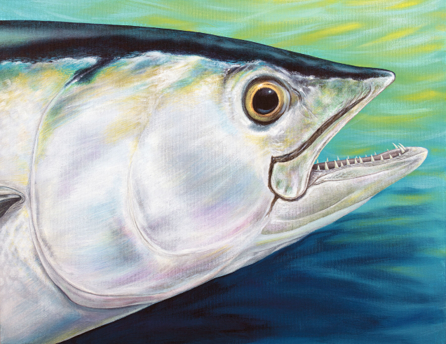 Original painting of a dogtooth tuna