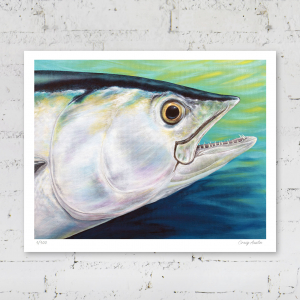 Limited edition print of a dogtooth tuna