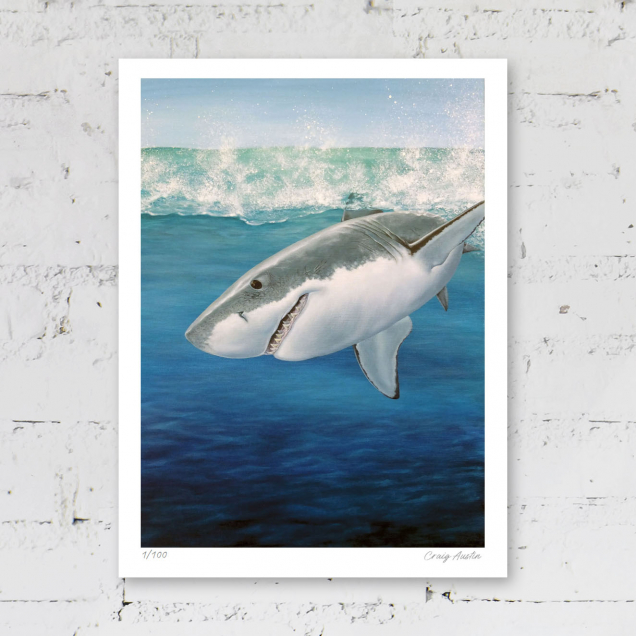 Limited edition print of a shark
