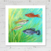 Limited edition print of swordtail fish
