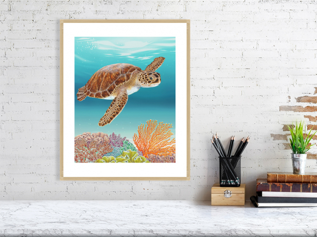 Coral and sea turtle print in an oak frame