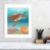 Coral and sea turtle print in a white frame