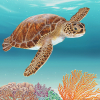 Sea turtle and coral reef print