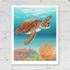 Print of a turtle and coral