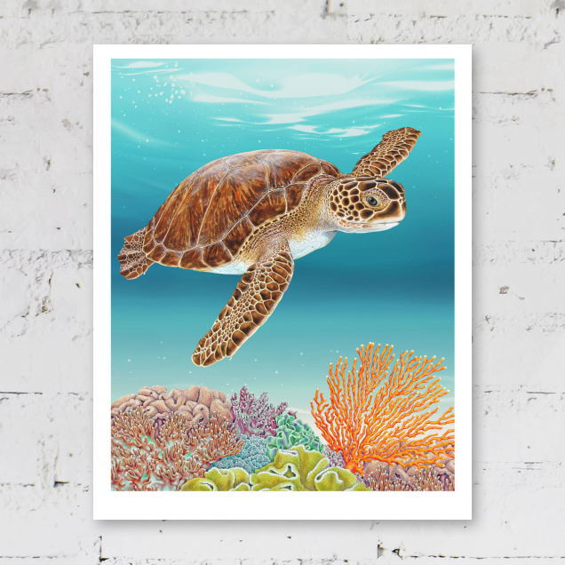 Print of a turtle and coral