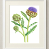 Framed painting of a gourd