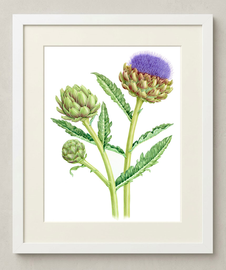 Framed painting of a gourd